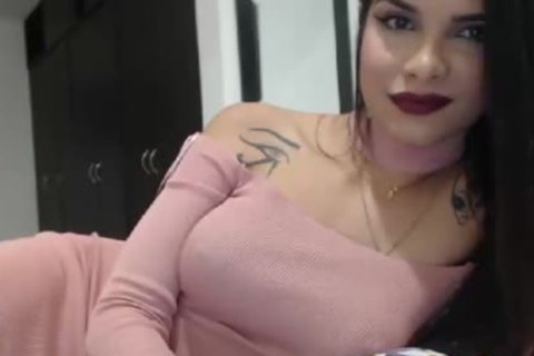 filthy large titties Ladyboy Teasing On web camera