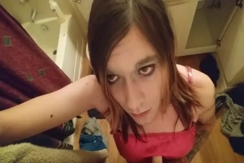 wild shelady Trap Homealone