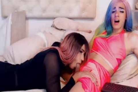 dilettante ladyboy couple fellatio-sex