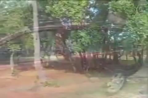 kinky Ladyboys Sucks And Sexs outside