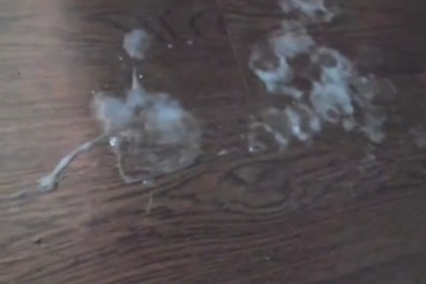 big cumshot At 08:16 By slutty pretty Ladyboy Thippy69 On web camera, Part 9